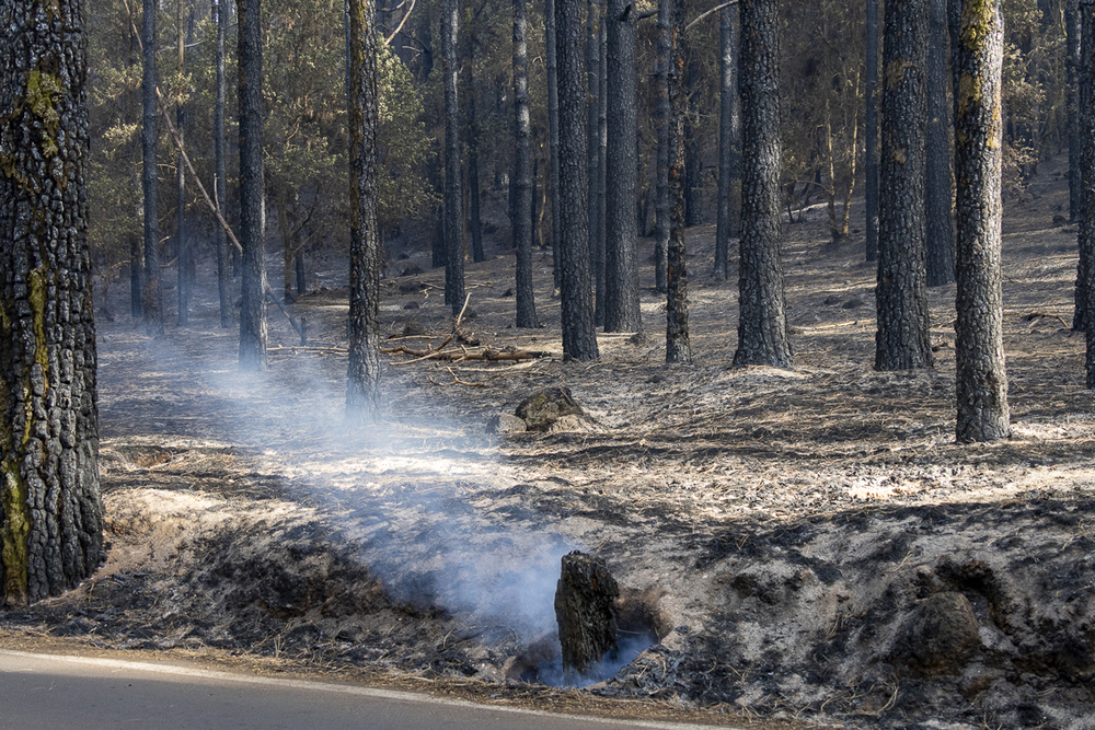 El incendio de Tenerife ya alcanza las casi 15.000 hectáreas calcinadas  / AGENCIAS