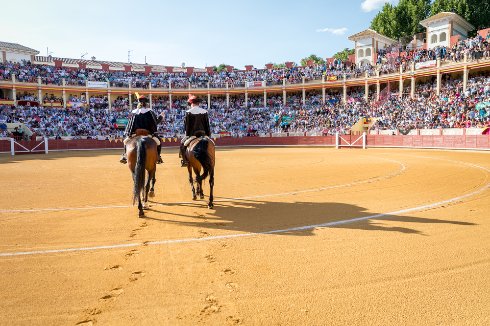 Quinta de la feria taurina de San Julián  / JAVIER GUIJARRO