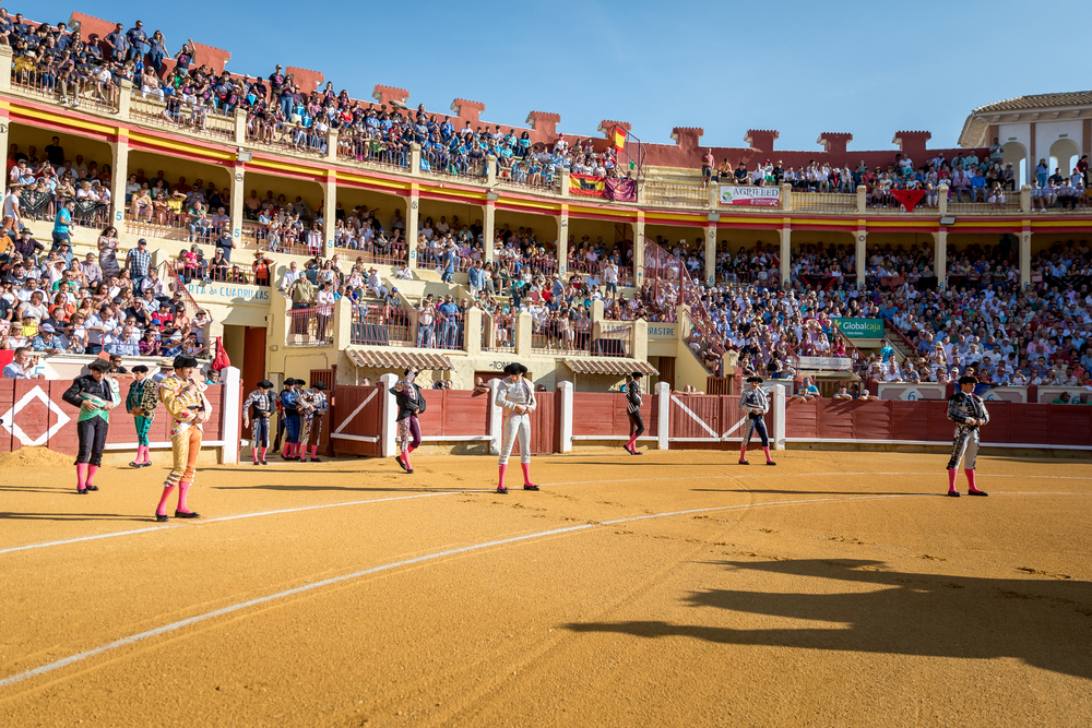 Quinta de la feria taurina de San Julián  / JAVIER GUIJARRO