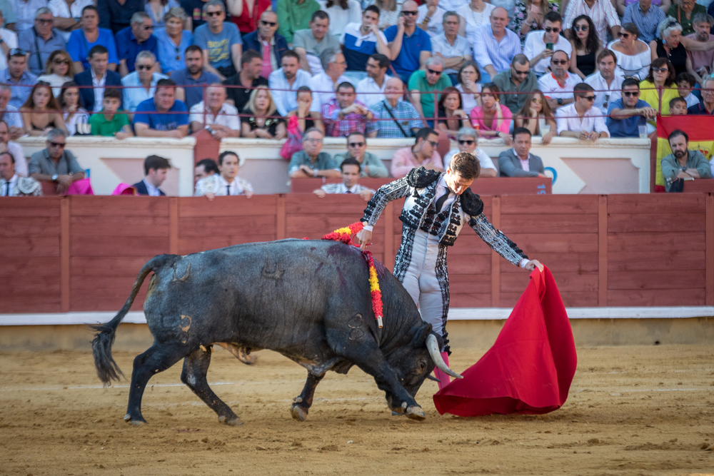 Quinta de la feria taurina de San Julián  / JAVIER GUIJARRO