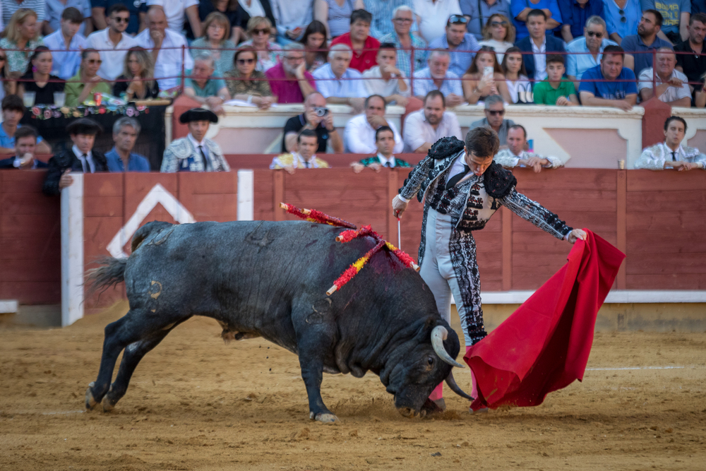 Quinta de la feria taurina de San Julián  / JAVIER GUIJARRO