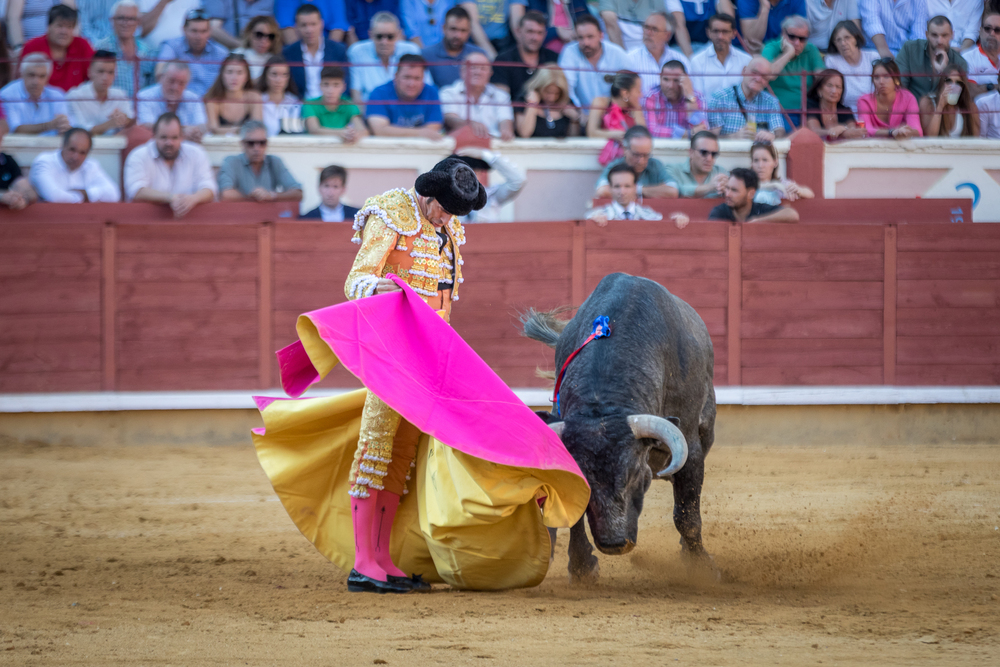 Quinta de la feria taurina de San Julián  / JAVIER GUIJARRO