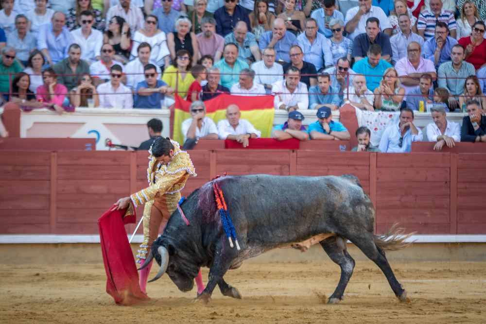 Quinta de la feria taurina de San Julián  / JAVIER GUIJARRO