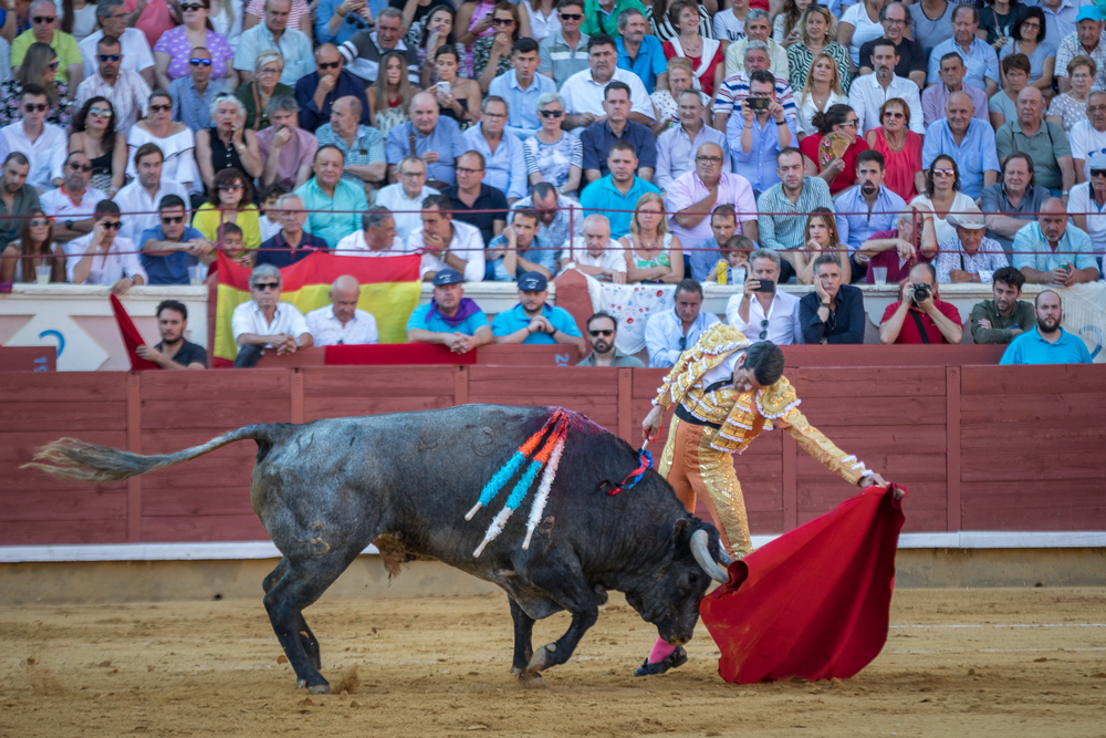 Quinta de la feria taurina de San Julián  / JAVIER GUIJARRO