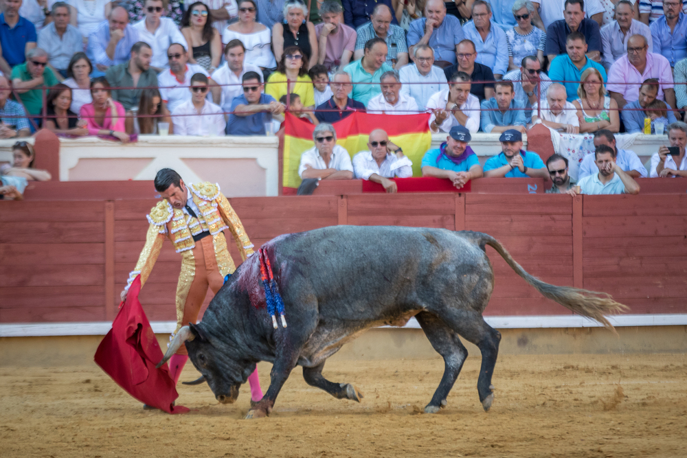 Quinta de la feria taurina de San Julián  / JAVIER GUIJARRO