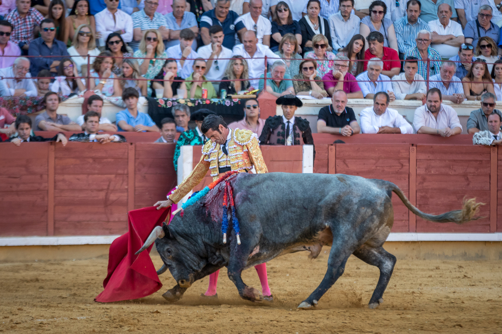 Quinta de la feria taurina de San Julián  / JAVIER GUIJARRO