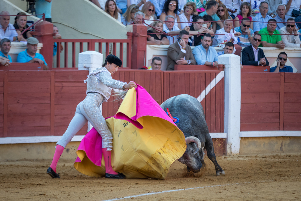 Quinta de la feria taurina de San Julián  / JAVIER GUIJARRO