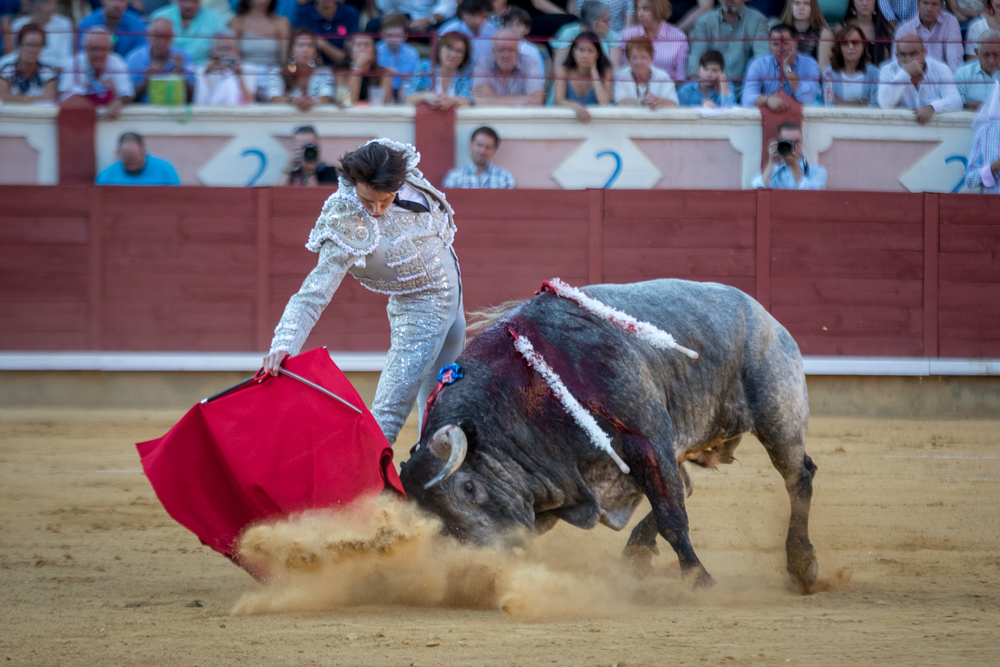 Quinta de la feria taurina de San Julián  / JAVIER GUIJARRO