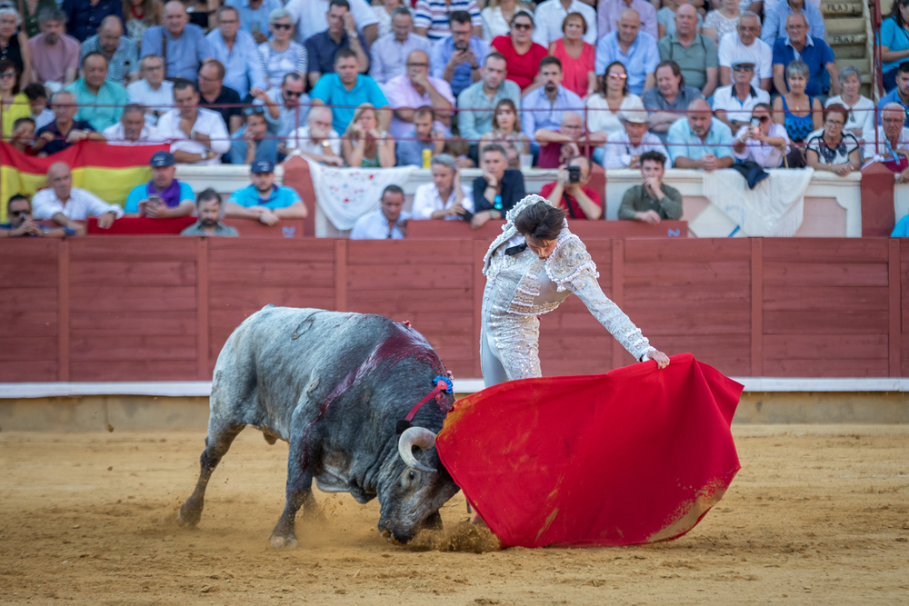 Quinta de la feria taurina de San Julián  / JAVIER GUIJARRO