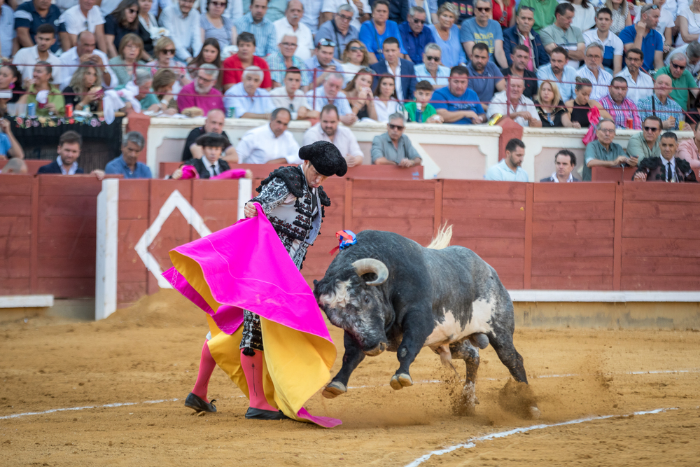 Quinta de la feria taurina de San Julián  / JAVIER GUIJARRO