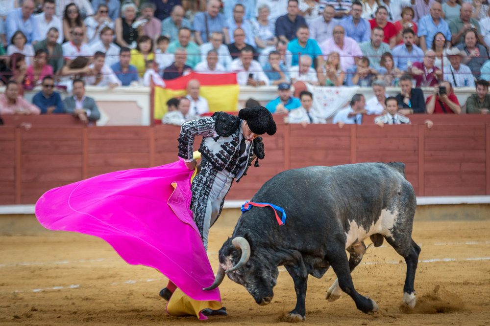 Quinta de la feria taurina de San Julián  / JAVIER GUIJARRO