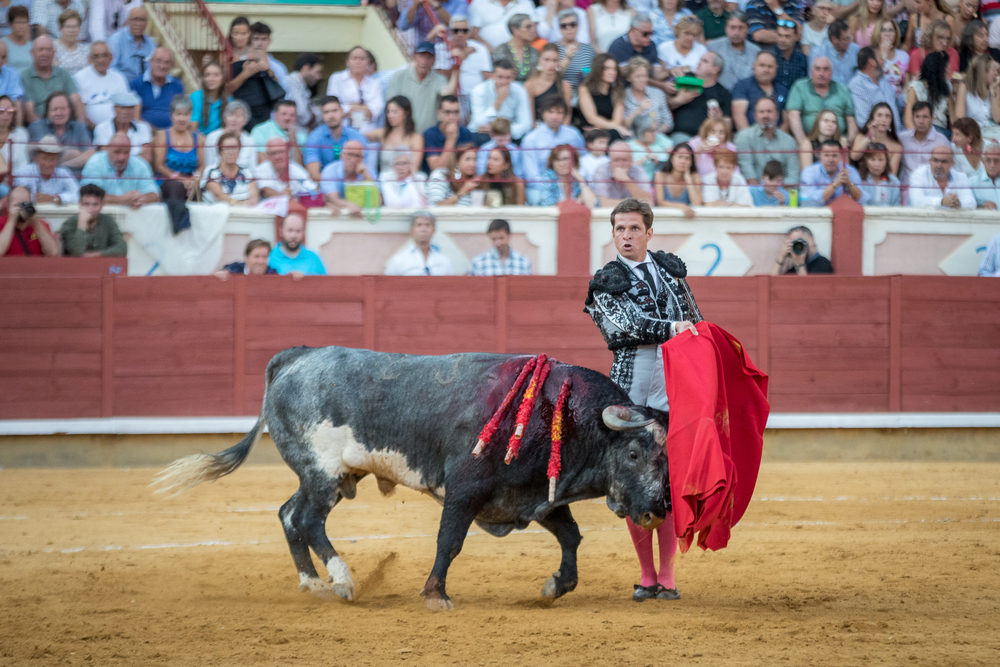 Quinta de la feria taurina de San Julián  / JAVIER GUIJARRO