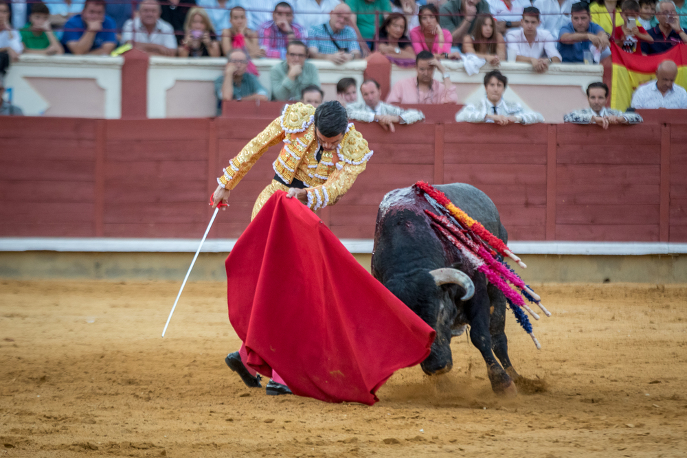 Quinta de la feria taurina de San Julián  / JAVIER GUIJARRO