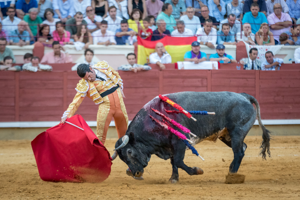 Quinta de la feria taurina de San Julián  / JAVIER GUIJARRO