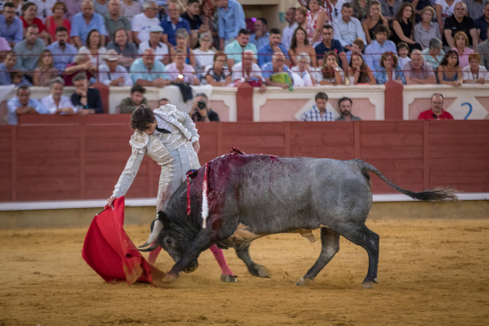 Quinta de la feria taurina de San Julián  / JAVIER GUIJARRO