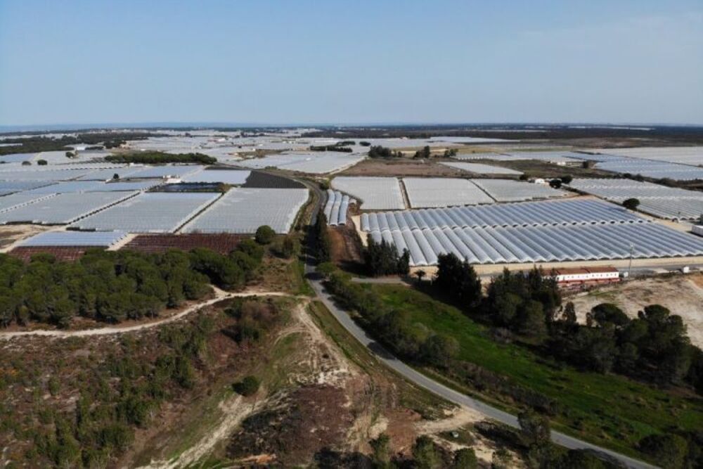 Bruselas alerta a España del riesgo de ampliar regadíos en Doñana