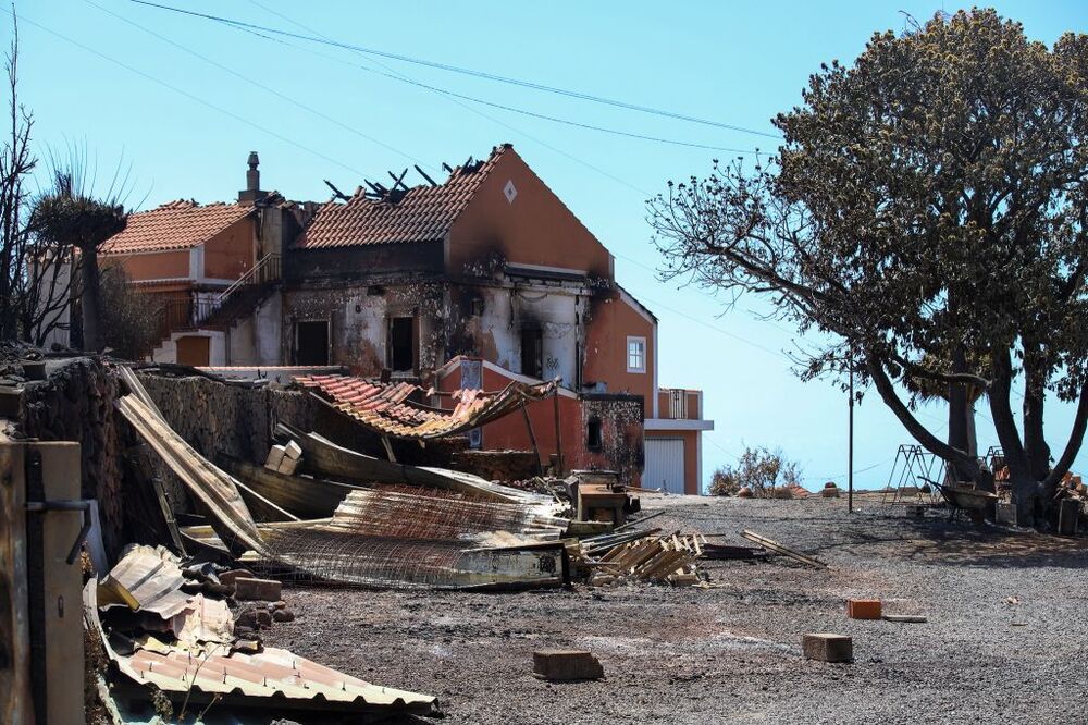 Daños del incendio de La Palma en el municipio de Puntagorda  / LUIS G. MORERA