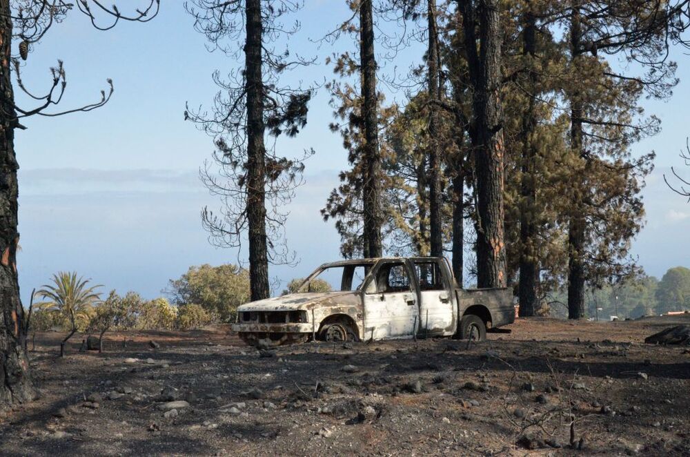 Daños del incendio de La Palma  / MIGUEL CALERO