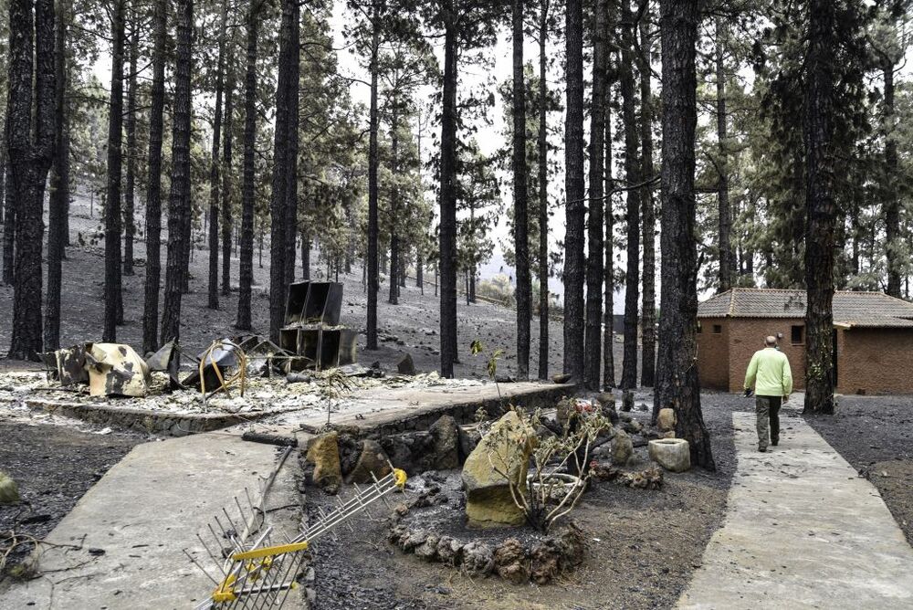 El incendio de La Palma evoluciona bien, con el esfuerzo concentrado en el Parque Nacional  / MIGUEL CALERO