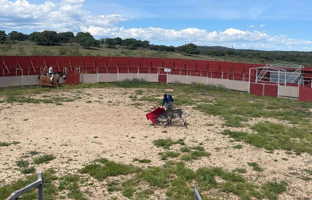 Nace el Círculo Taurino de Cuenca para promover la tauromaquia