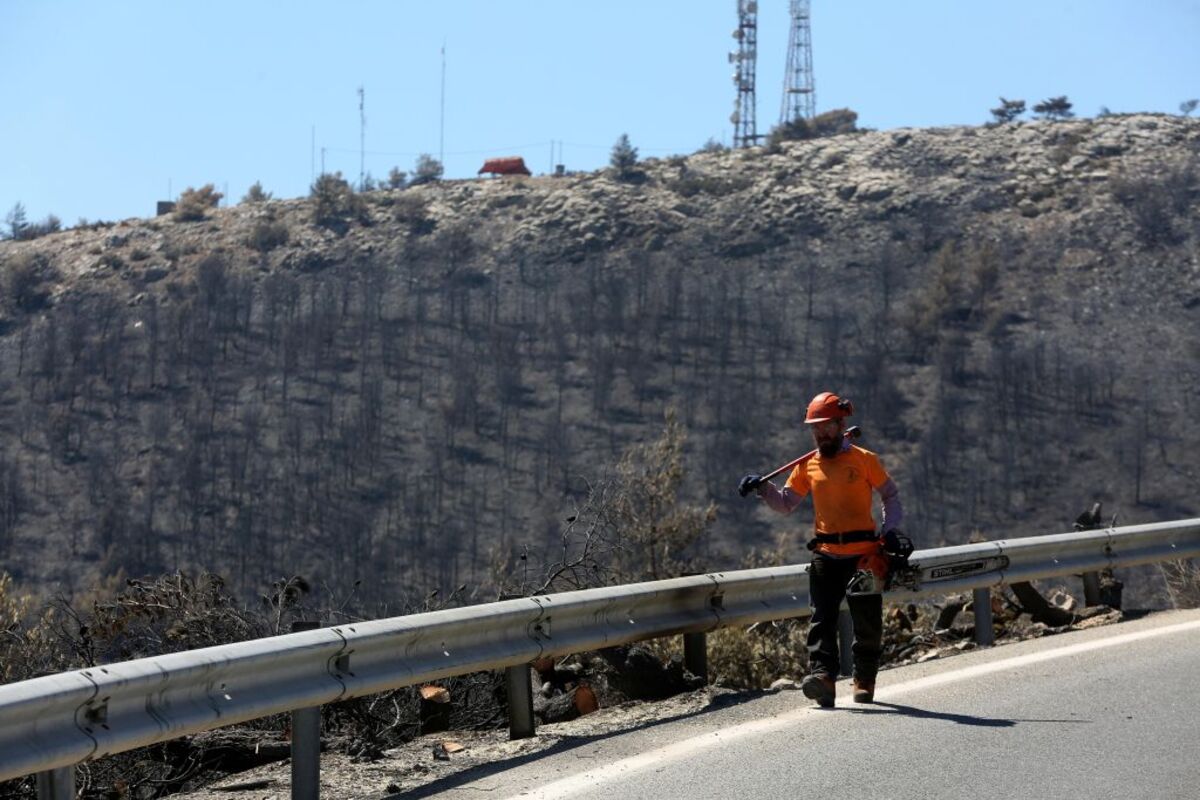 Wildfire in Greece's Attica region  / ALEXANDROS BELTES