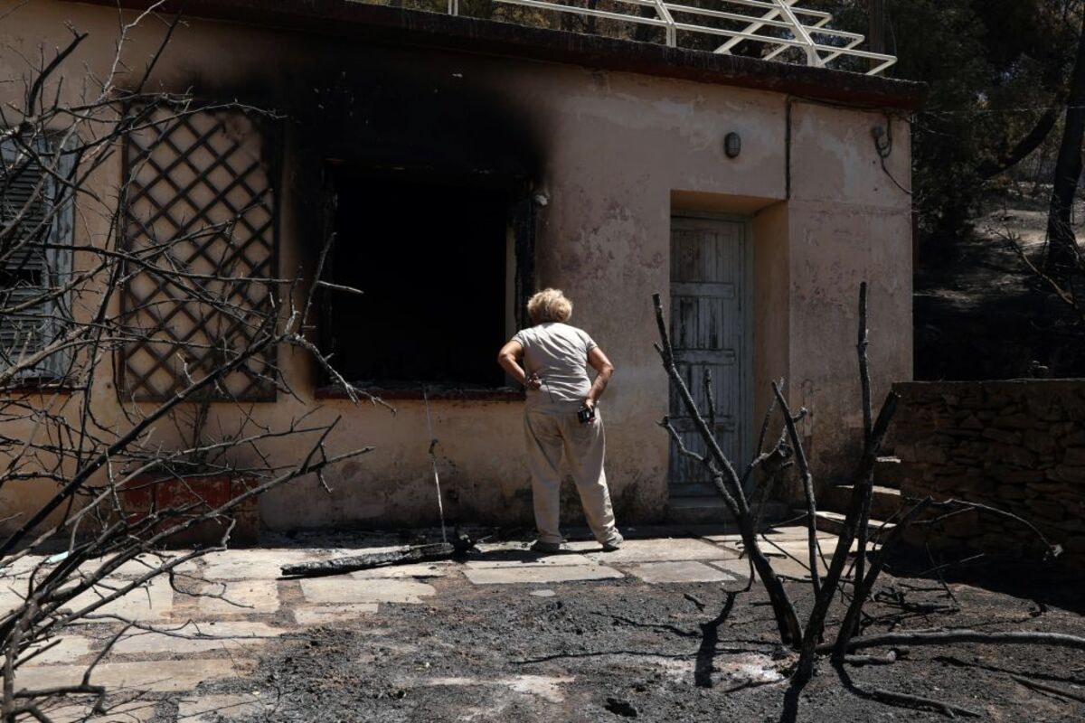 Wildfire in Greece's Attica region  / GEORGE VITSARAS