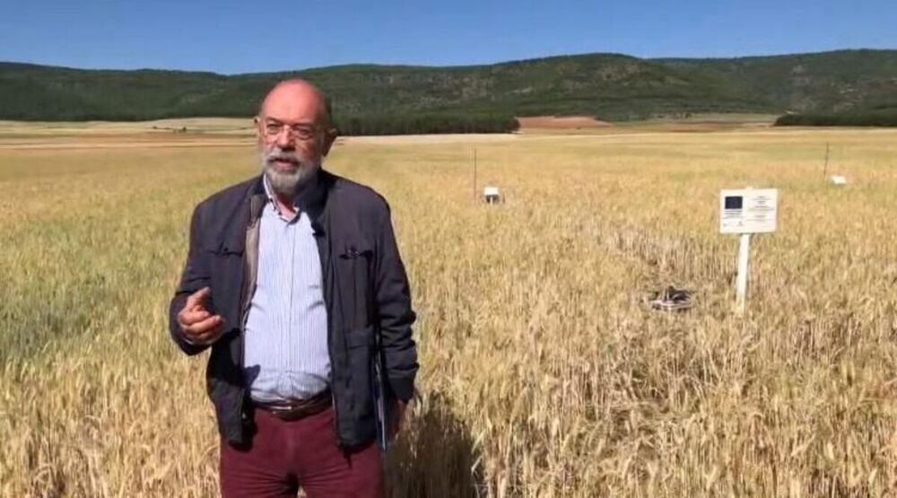 Francisco Montero, catedrático de Producción Vegetal de la UCLM