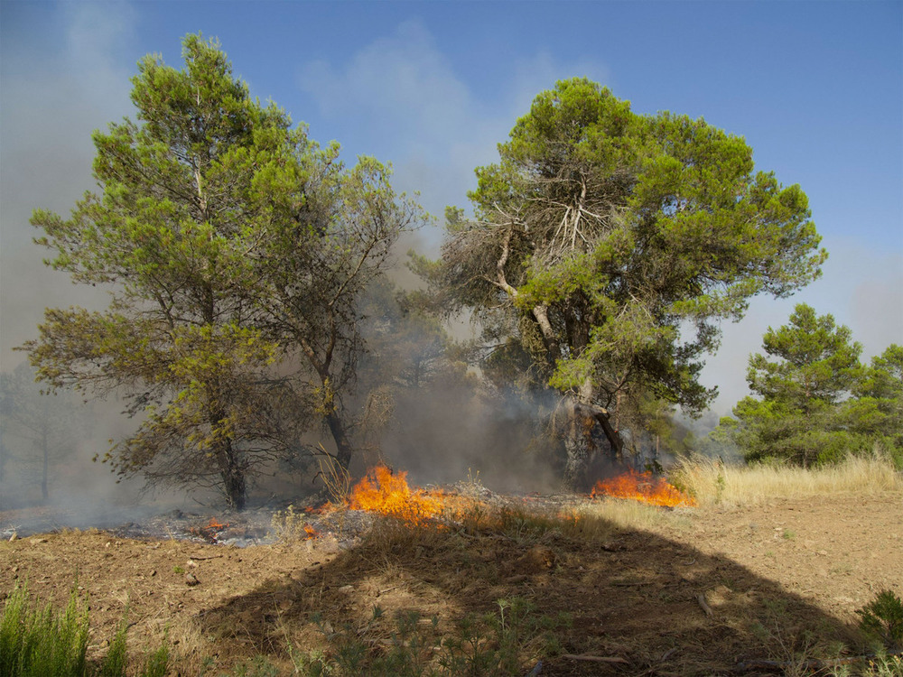 El incendio forestal de Valverdejo se eleva a nivel 2