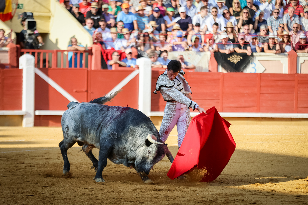 1ª de la feria taurina de San Julián  / JAVIER GUIJARRO