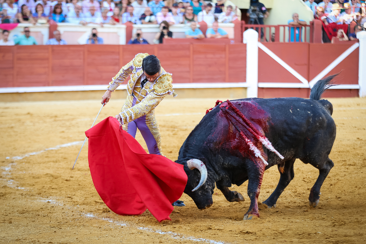 1ª de la feria taurina de San Julián  / JAVIER GUIJARRO