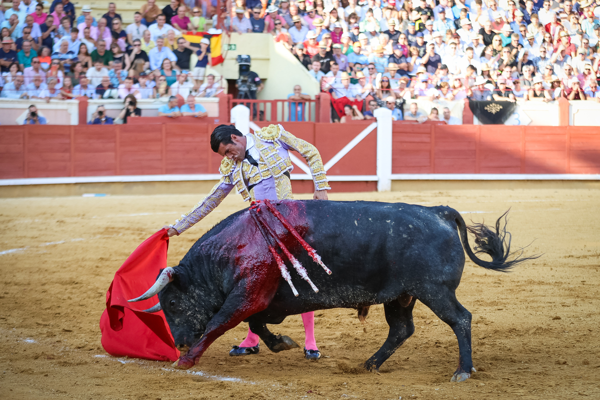 1ª de la feria taurina de San Julián  / JAVIER GUIJARRO