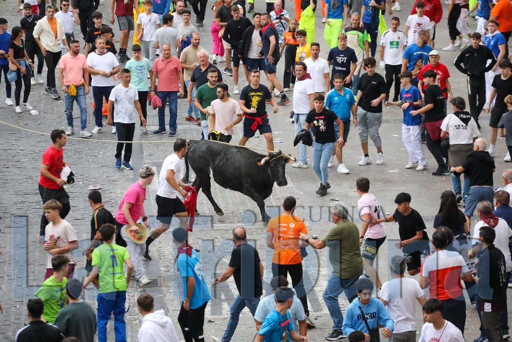 Consistorio y peñas hablan de gran participación en San Mateo