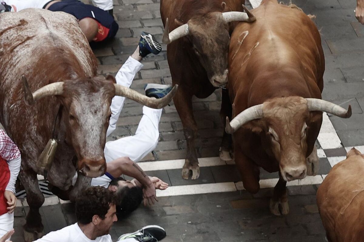 Quinto encierro de los Sanfermines  / JESÚS DIGES