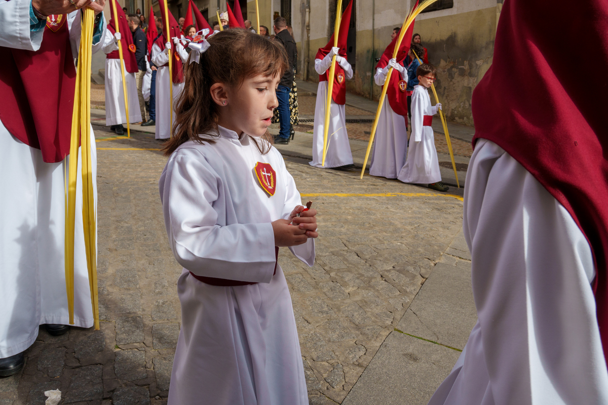 Procesión del Hosanna  / SERGI PERICH