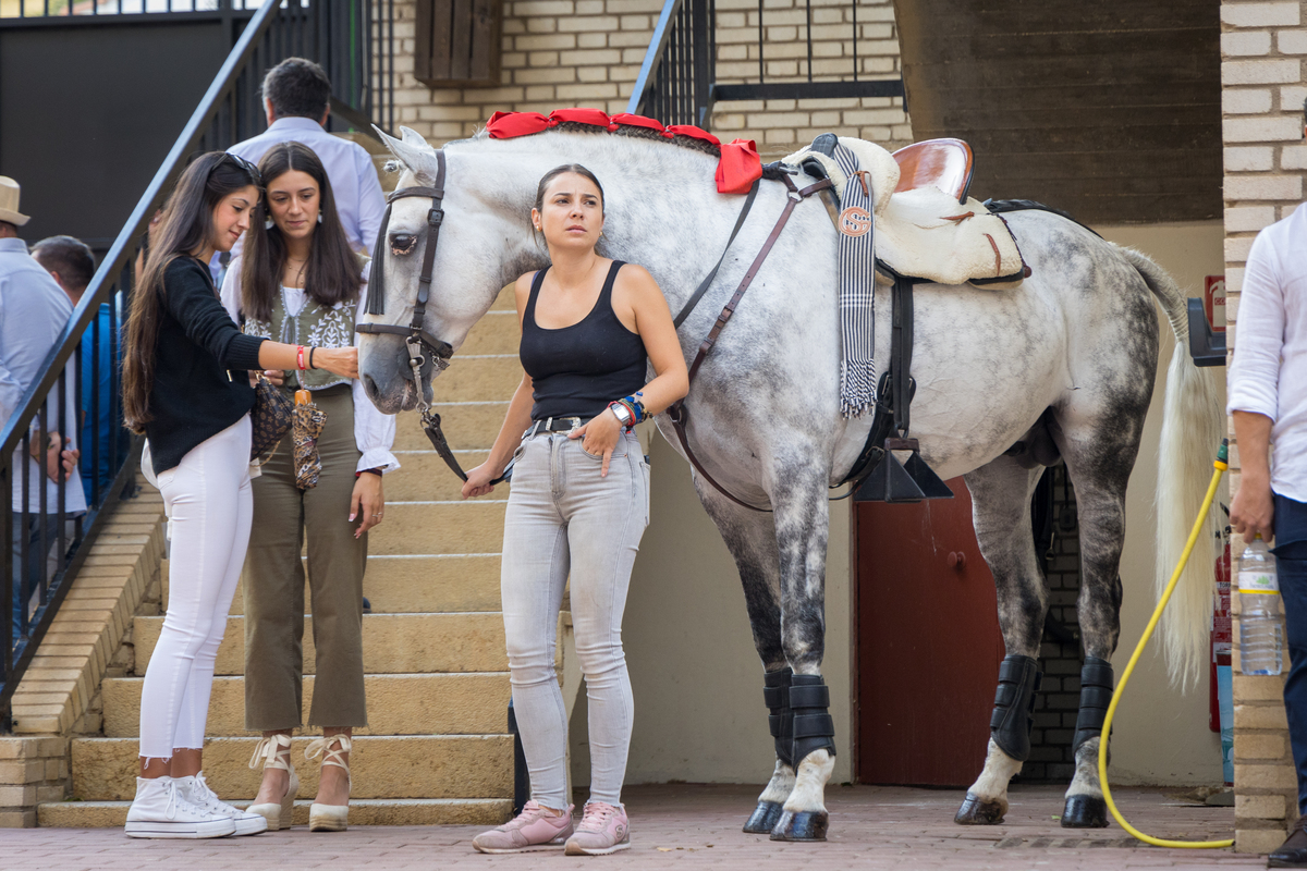 2ª de la feria taurina de San Julián  / JAVIER GUIJARRO