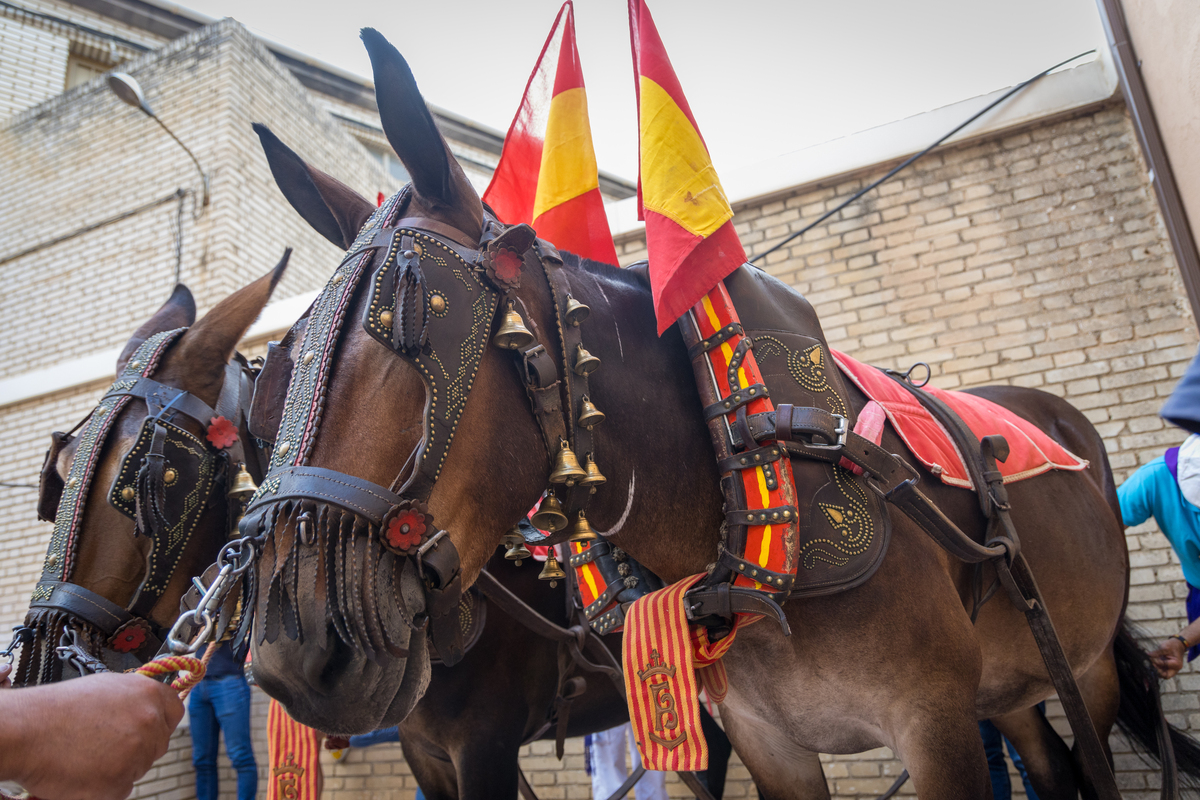 2ª de la feria taurina de San Julián  / JAVIER GUIJARRO