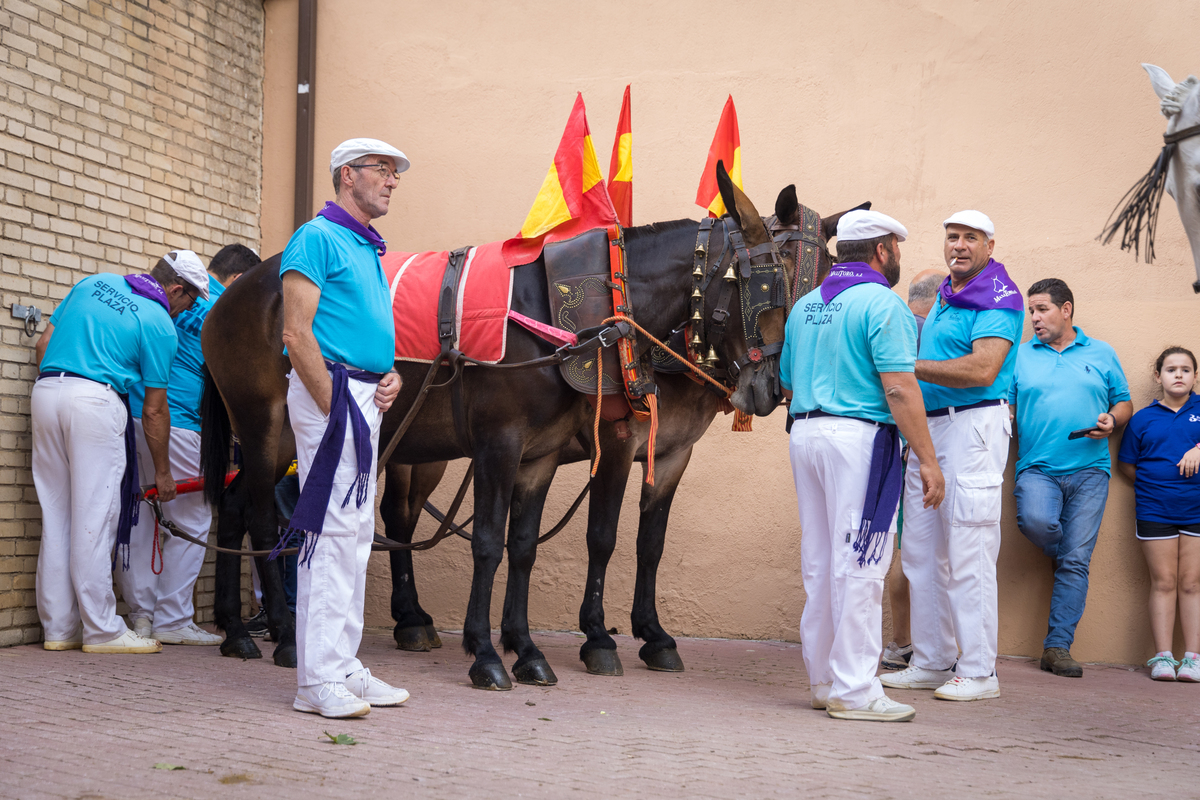 2ª de la feria taurina de San Julián  / JAVIER GUIJARRO