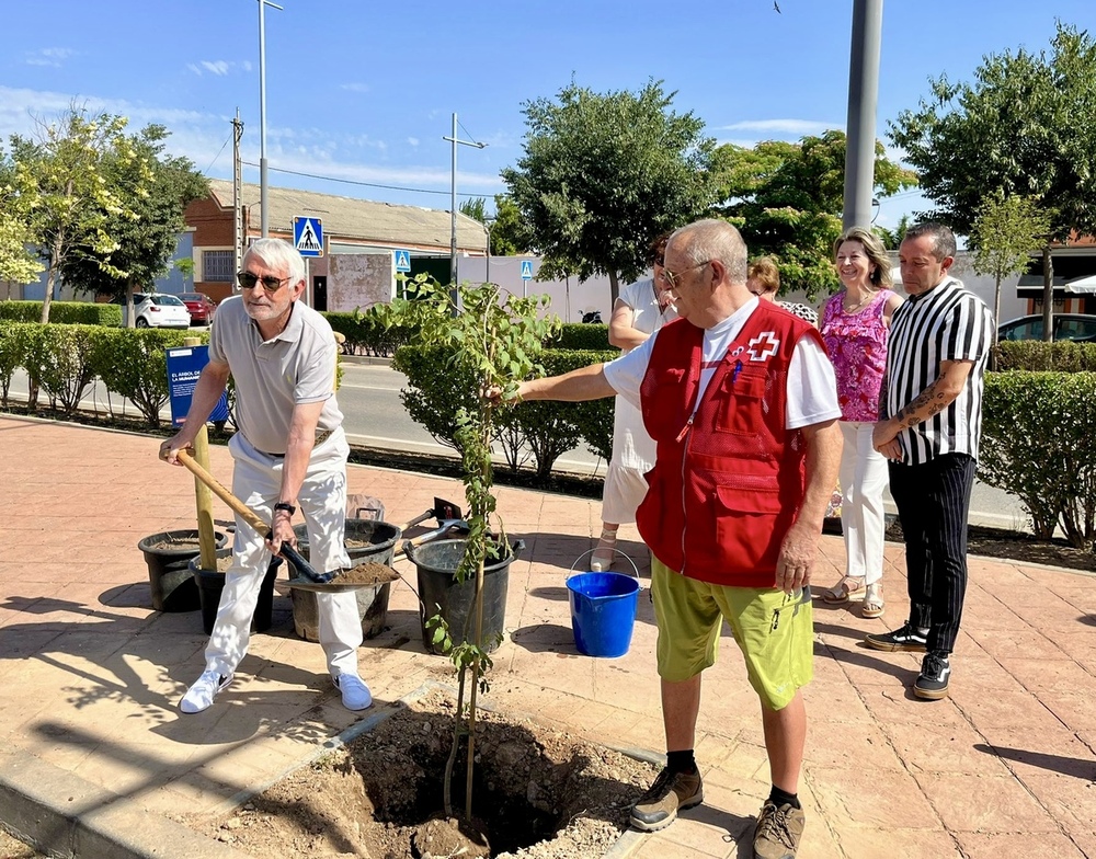 Cruz Roja planta el Árbol de la Humanidad