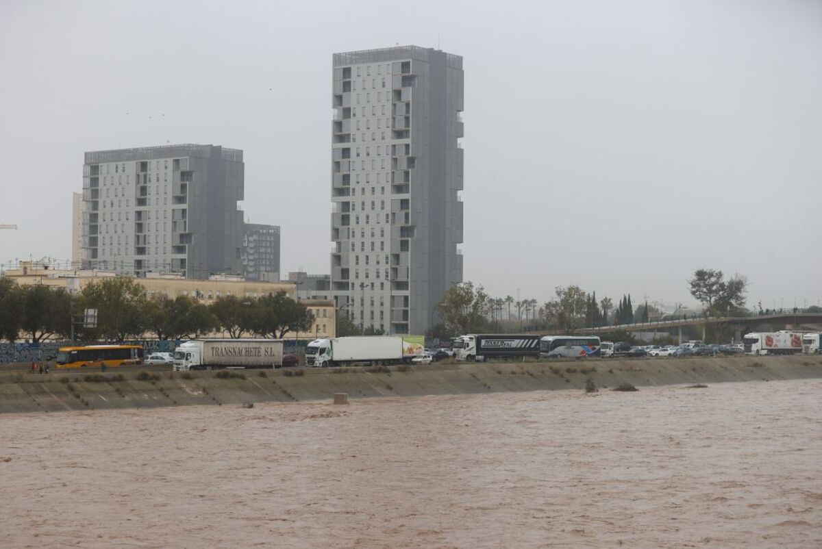 València atiende a 400 personas afectadas por la Dana en el área metropolitana  / MANUEL BRUQUE