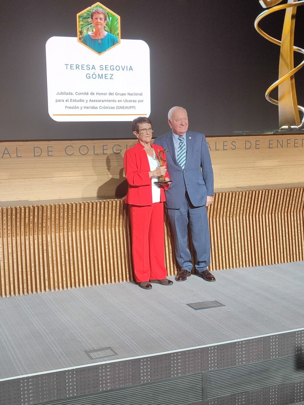 El Consejo General de Enfermería premia a Teresa Segovia