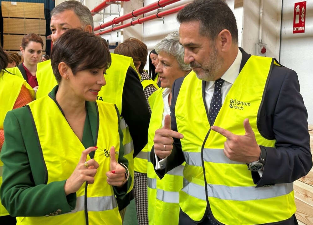 Abogan por aumentar el uso de la madera en la construcción