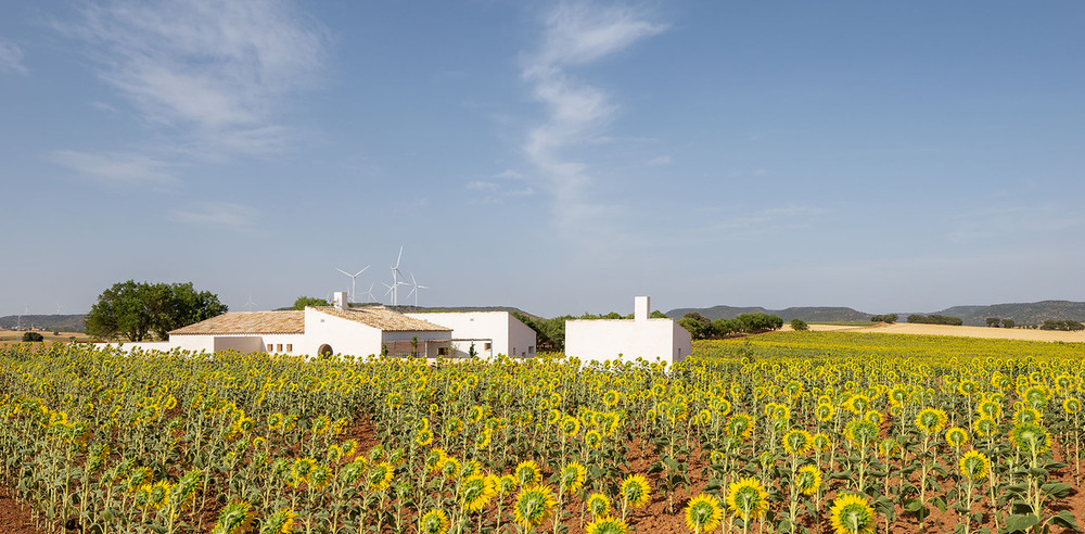 La Casa de Campo de Zafra de Záncara, premio COACM de vivienda