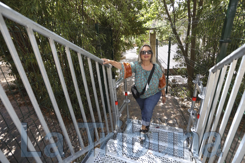 El recorrido por el jardín trasero del colegio de Arquitectos termina en dos tramos de escalera.