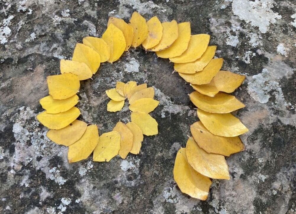 'Land Art' en el instituto Hervás y Panduro