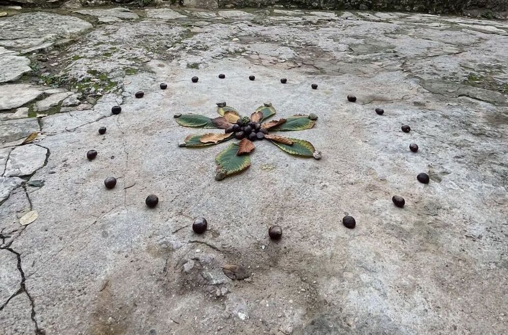 'Land Art' en el instituto Hervás y Panduro