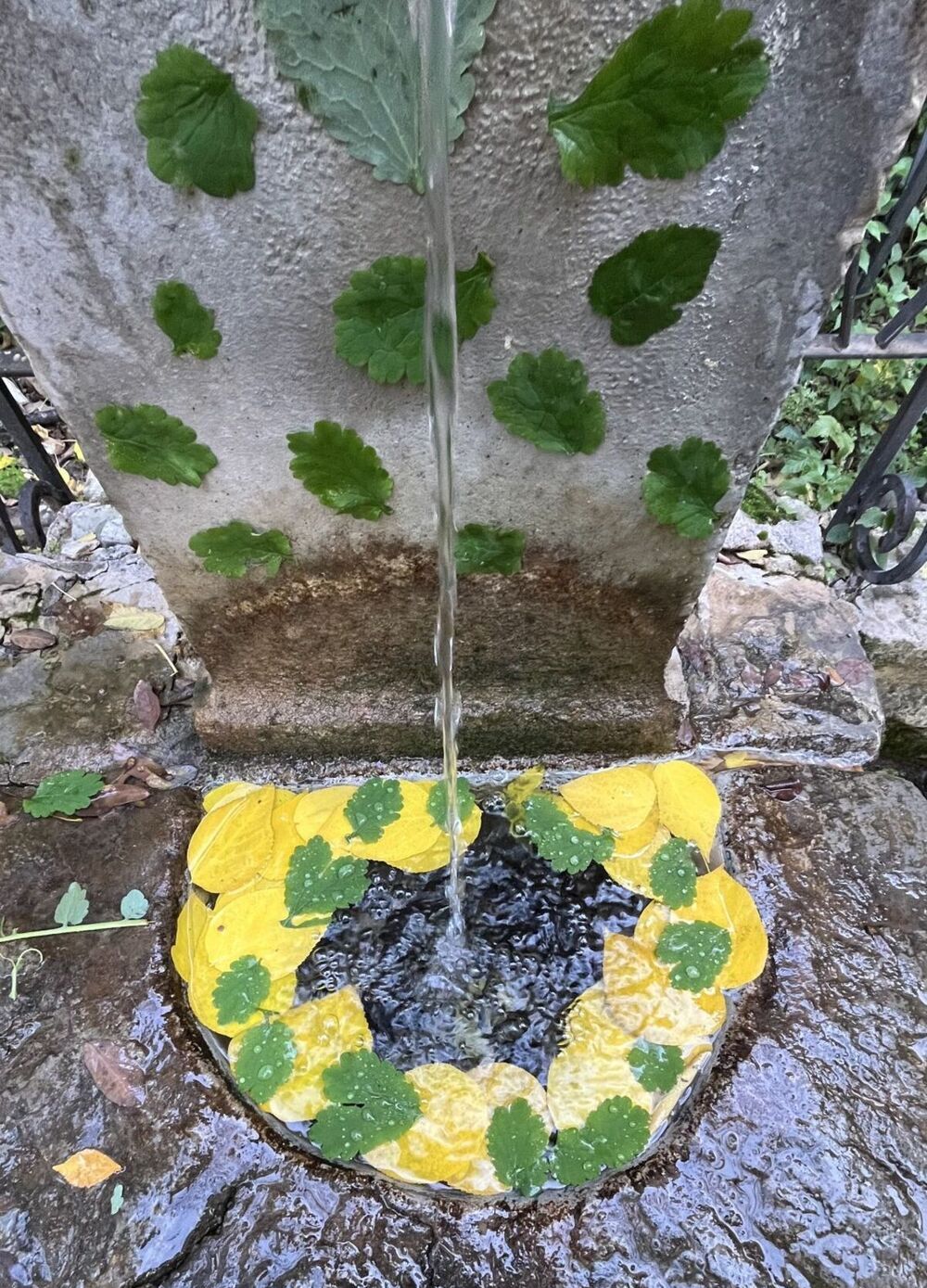 'Land Art' en el instituto Hervás y Panduro