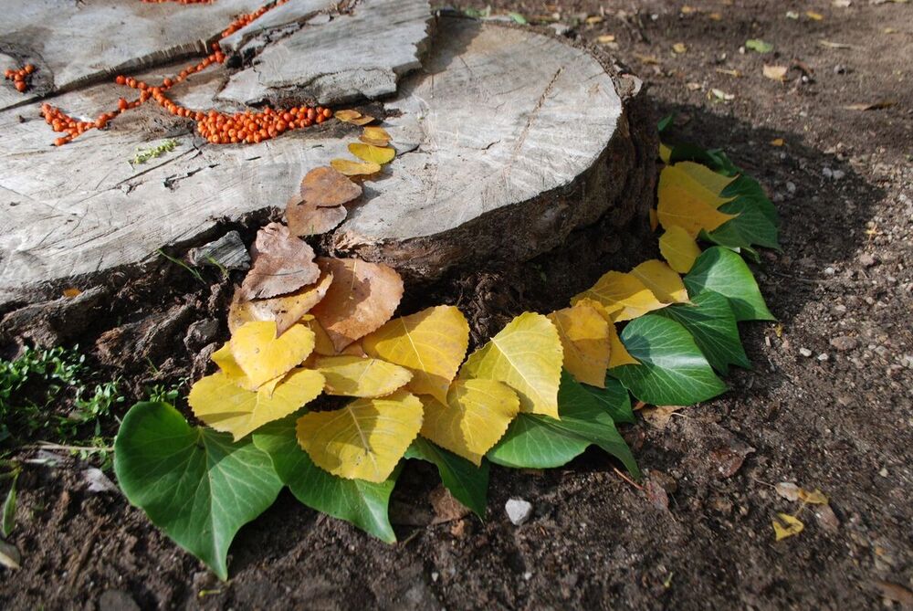 'Land Art' en el instituto Hervás y Panduro