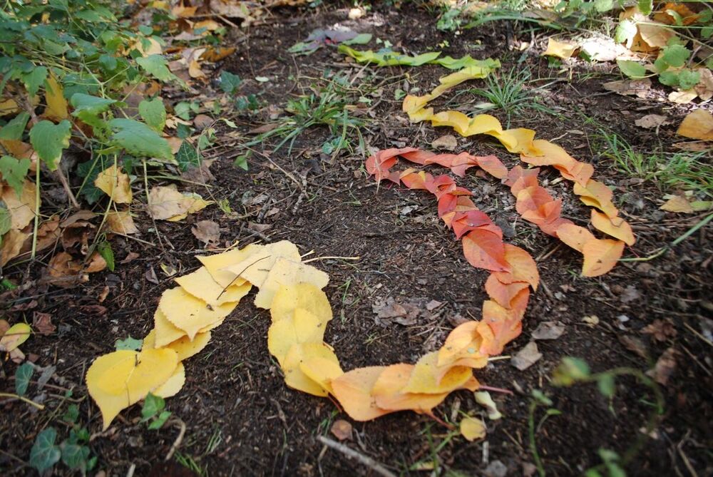 'Land Art' en el instituto Hervás y Panduro