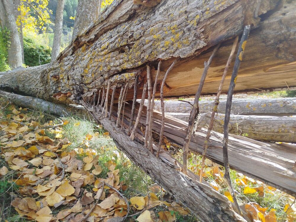 'Land Art' en el instituto Hervás y Panduro