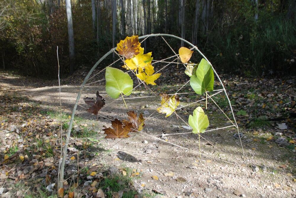 'Land Art' en el instituto Hervás y Panduro